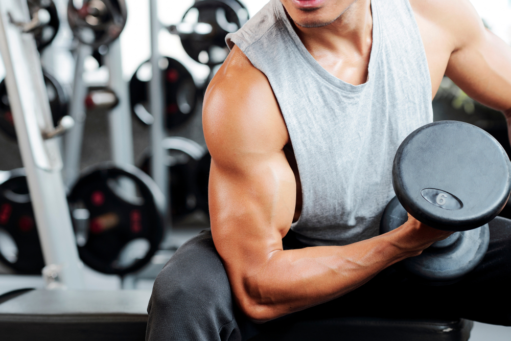 5 exercices pour muscler vos biceps